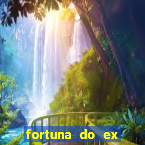 fortuna do ex jogador amaral